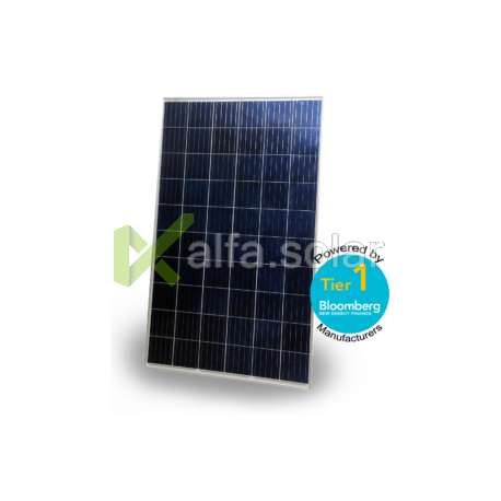 Сонячна батарея ABi-Solar АВ270-60P 270Вт 