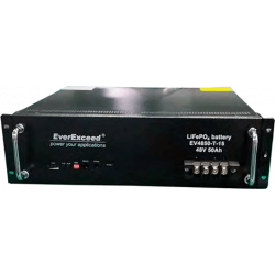 Літій-залізо-фосфатний акумулятор (LiFePO4) EverExceed EV4850-T-15 (48В50Aг)