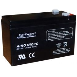 Аккумуляторная батарея EverExceed AM 12-9