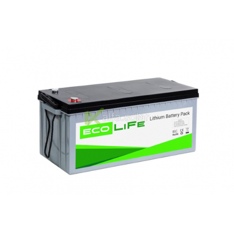 Аккумуляторная батарея EcoLiFe 12-50 (литий-железо-фосфатный)