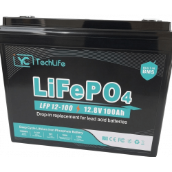 Аккумулятор LiFePO4 EverExceed YCTechLife LFP 12-100 12.8V 100Ah